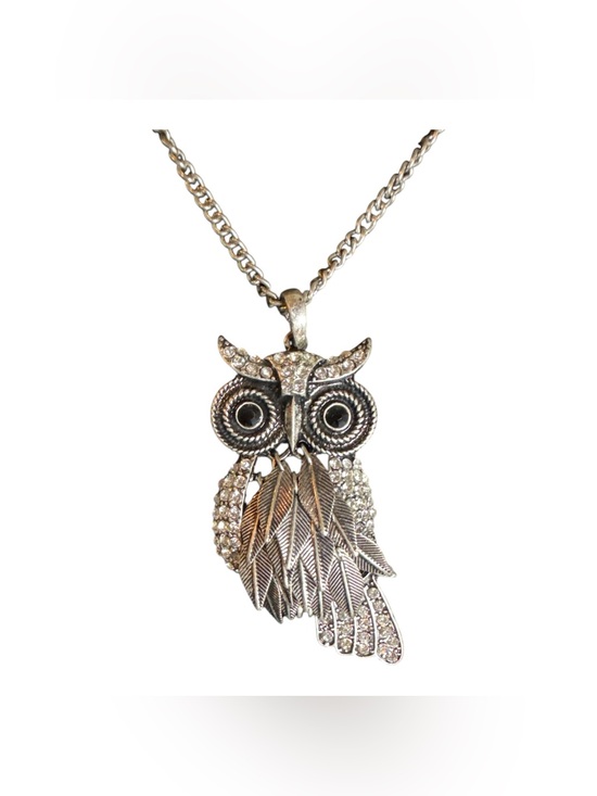 AERO Jewelry - Aeropostale 1987 Collection Rhinestone Owl Pendant Necklace Silver Tone 31” EUC